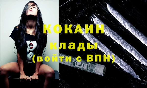 трава Абаза
