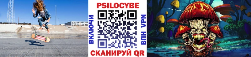 KRAKEN tor где можно купить Нальчик Галлюциногенные грибы Psilocybine cubensis