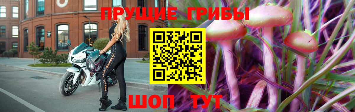 Галлюциногенные грибы Psilocybe  Вход с VPN  Нальчик  Галлюциногенные грибы мицелий 
