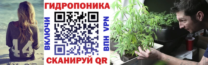 Конопля OG Kush Нальчик